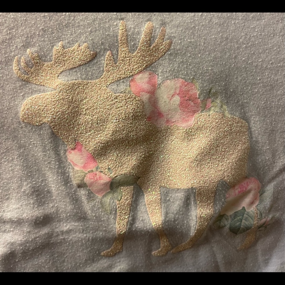 Abercrombie Kids Girls T-Shirt size 15/16